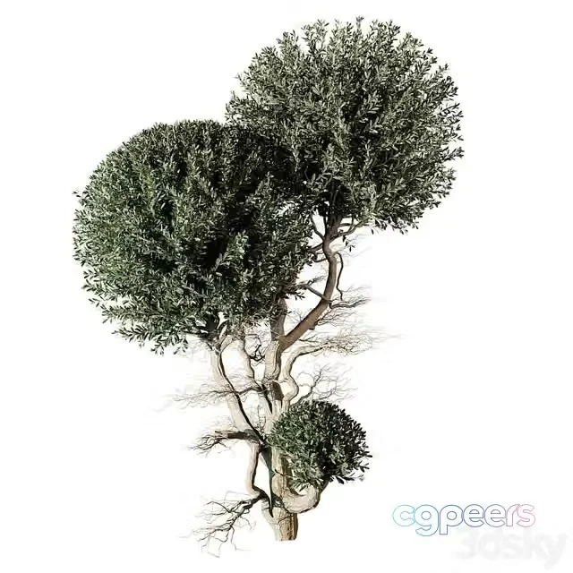 3ds Max Free – tree vol 17
