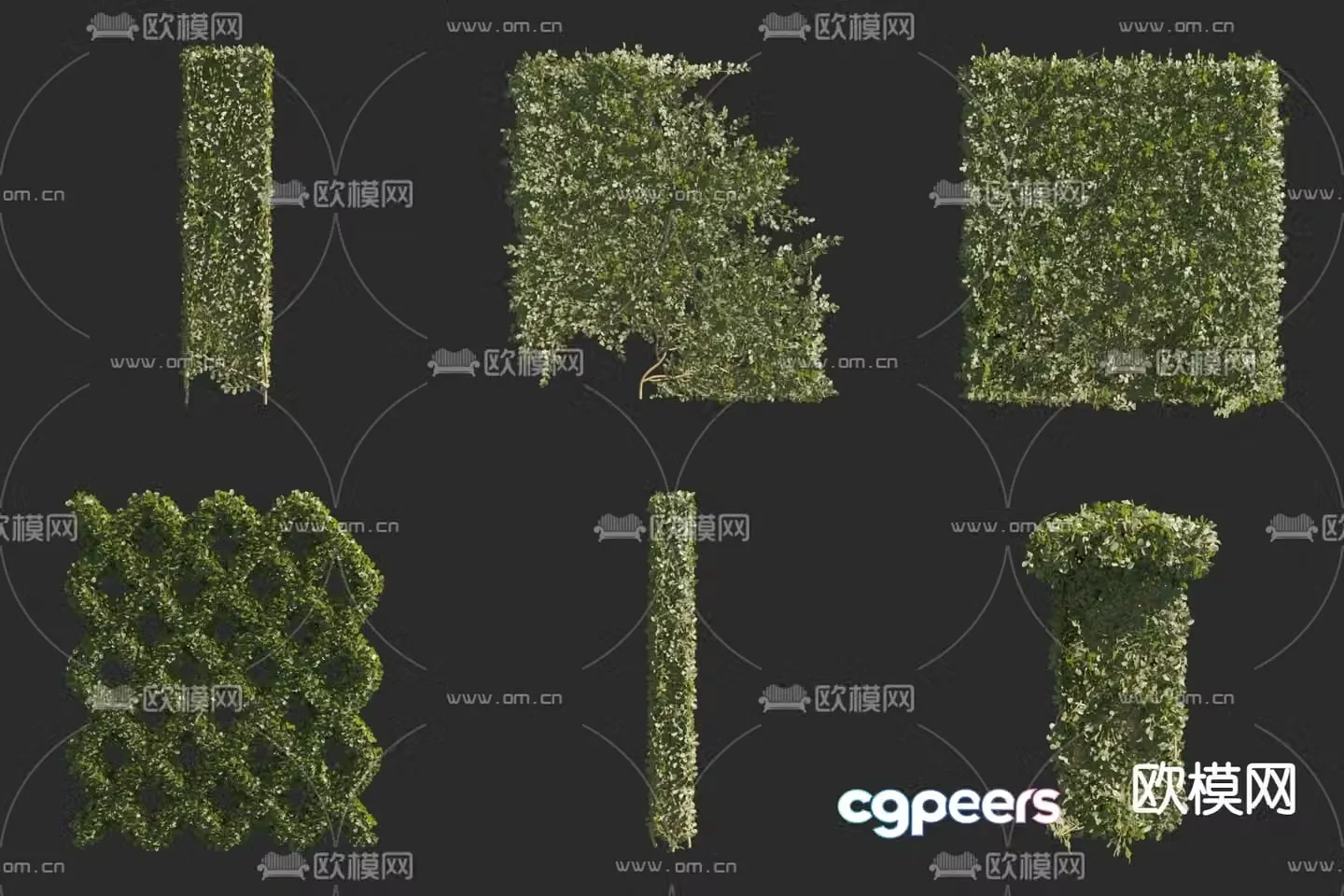 Vine stone wall lotus heart-piercing vine hedge 3D model