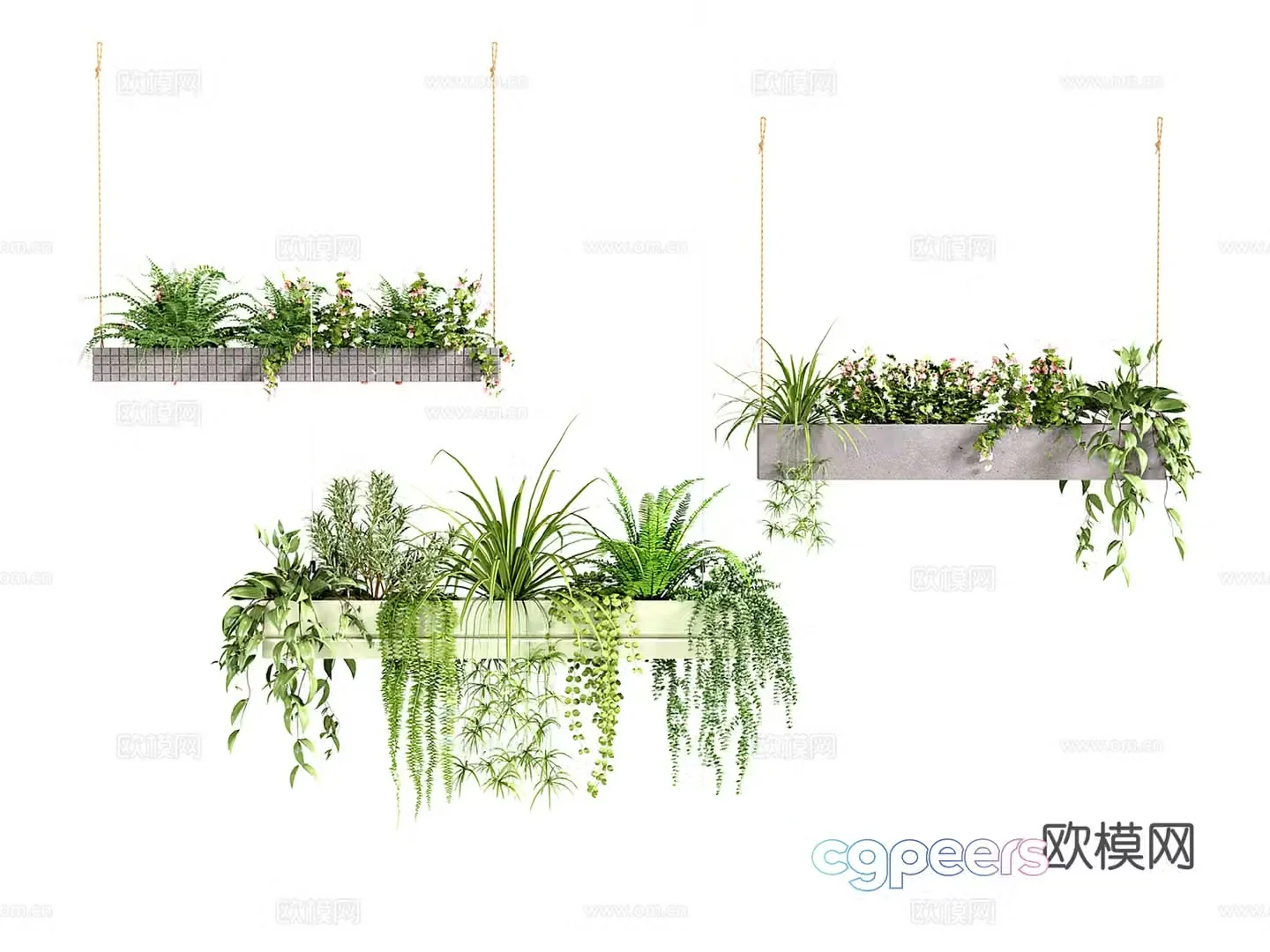 Modern hanging pot hanging plant green plants hanging pot plants fern vine plants flowers and plants green ivy 3D model