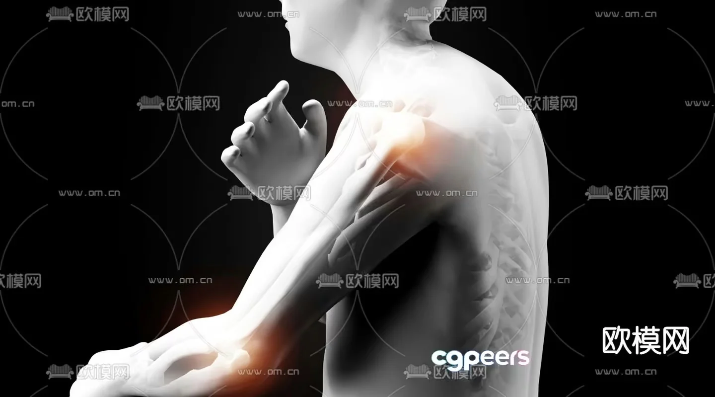 A Human Body With A Highlighted Arm 3D Model – 22783 – VRAY Render