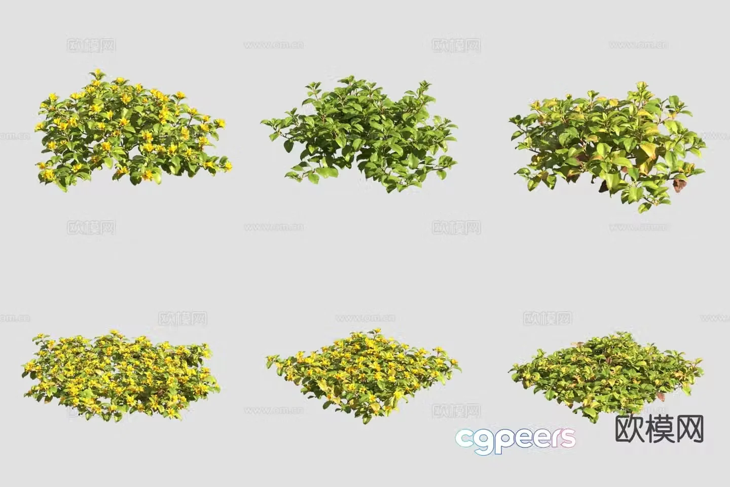 Roadside green plants yellow flowers and plants 3D model