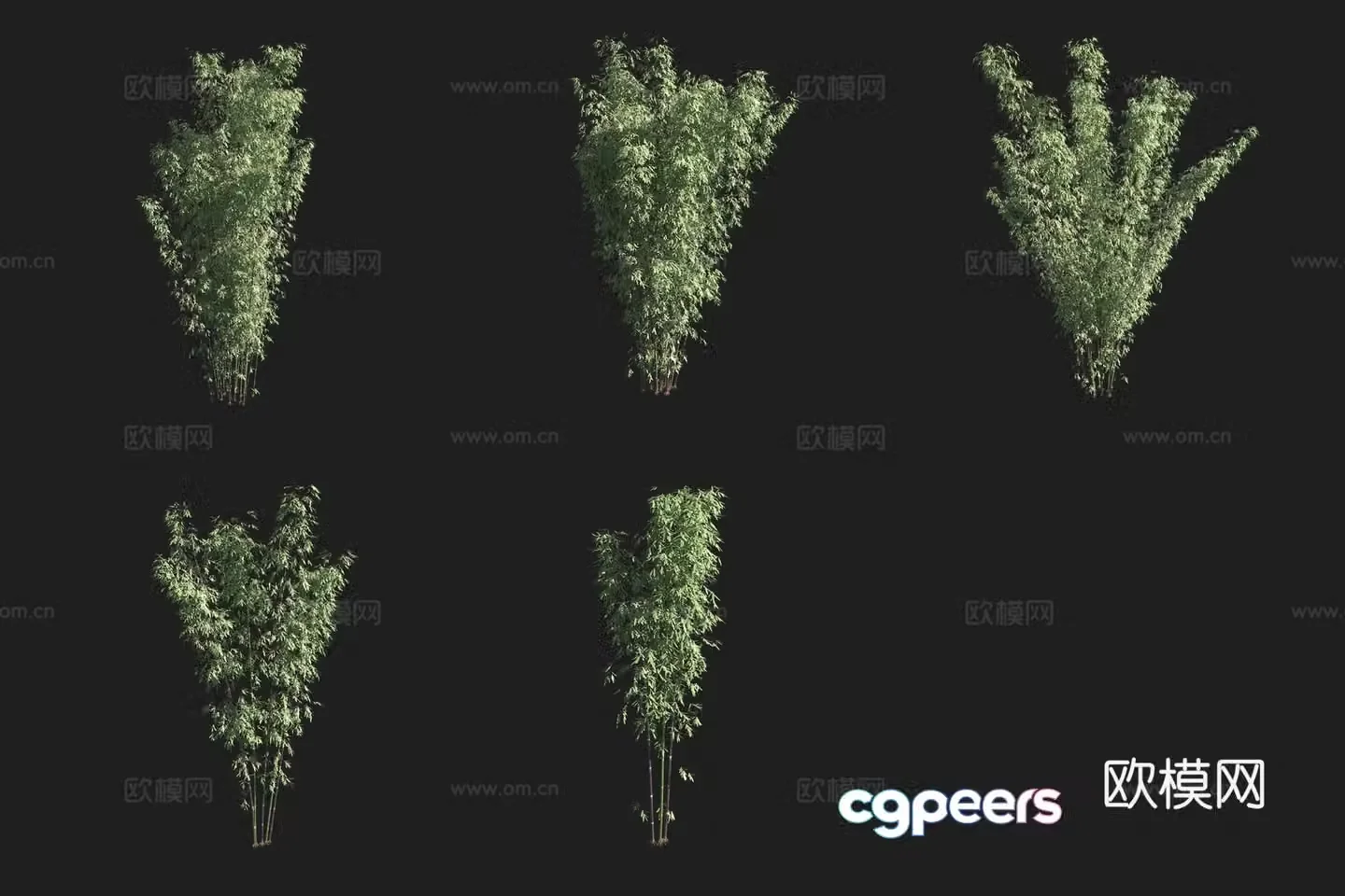 Purple bamboo bamboo forest 3d model