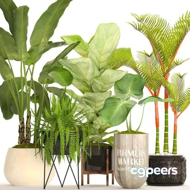 3ds Max Free – A collection of plants in pots 48