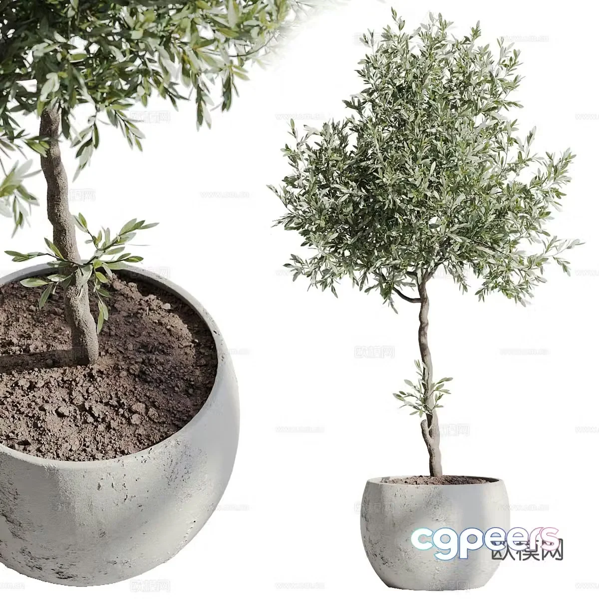 Potted green plants Balcony pot plants Balcony green plants Outdoor green plants Living room green plants Potted plant combination 3D model