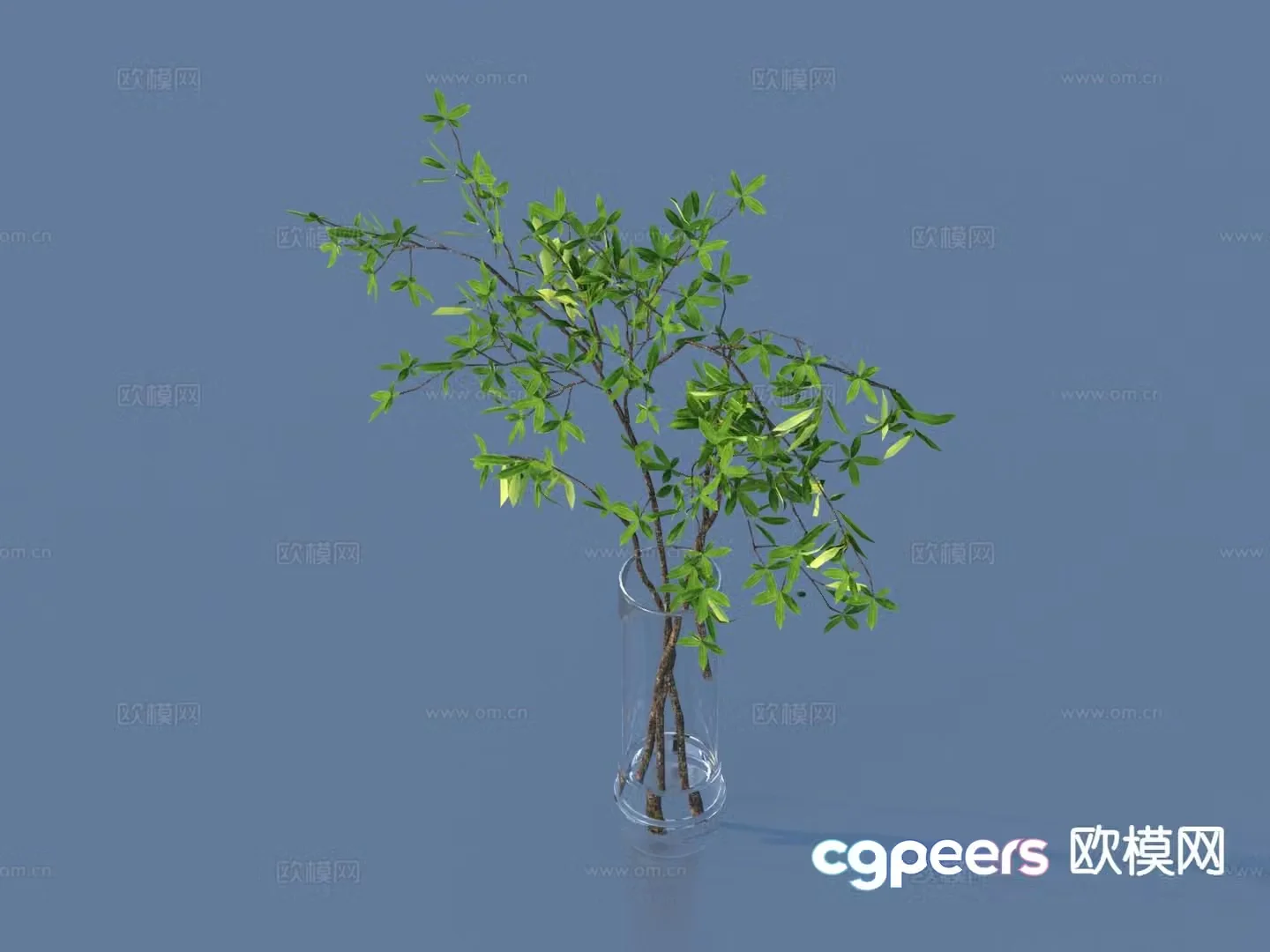 Aquatic plants hydroponic green plants 3D model