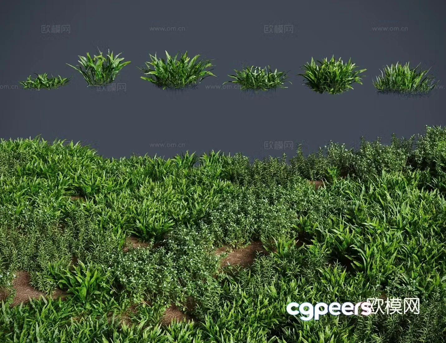 grass lawn iron crown lawn shrub 3d model