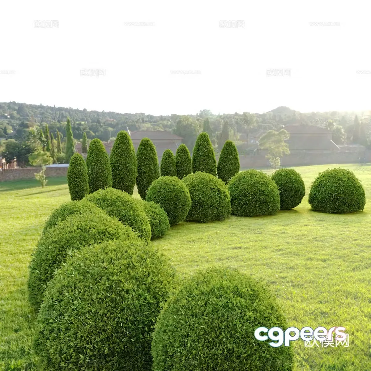 Tree Shrub Ball Hedge 3d model