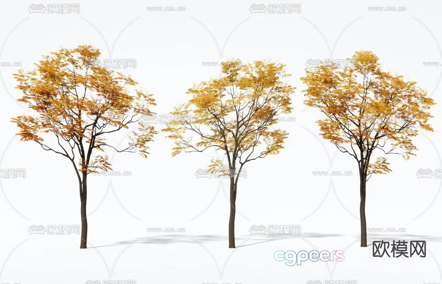 Landscape tree Autumn yellow leaf tree Tree 3d model