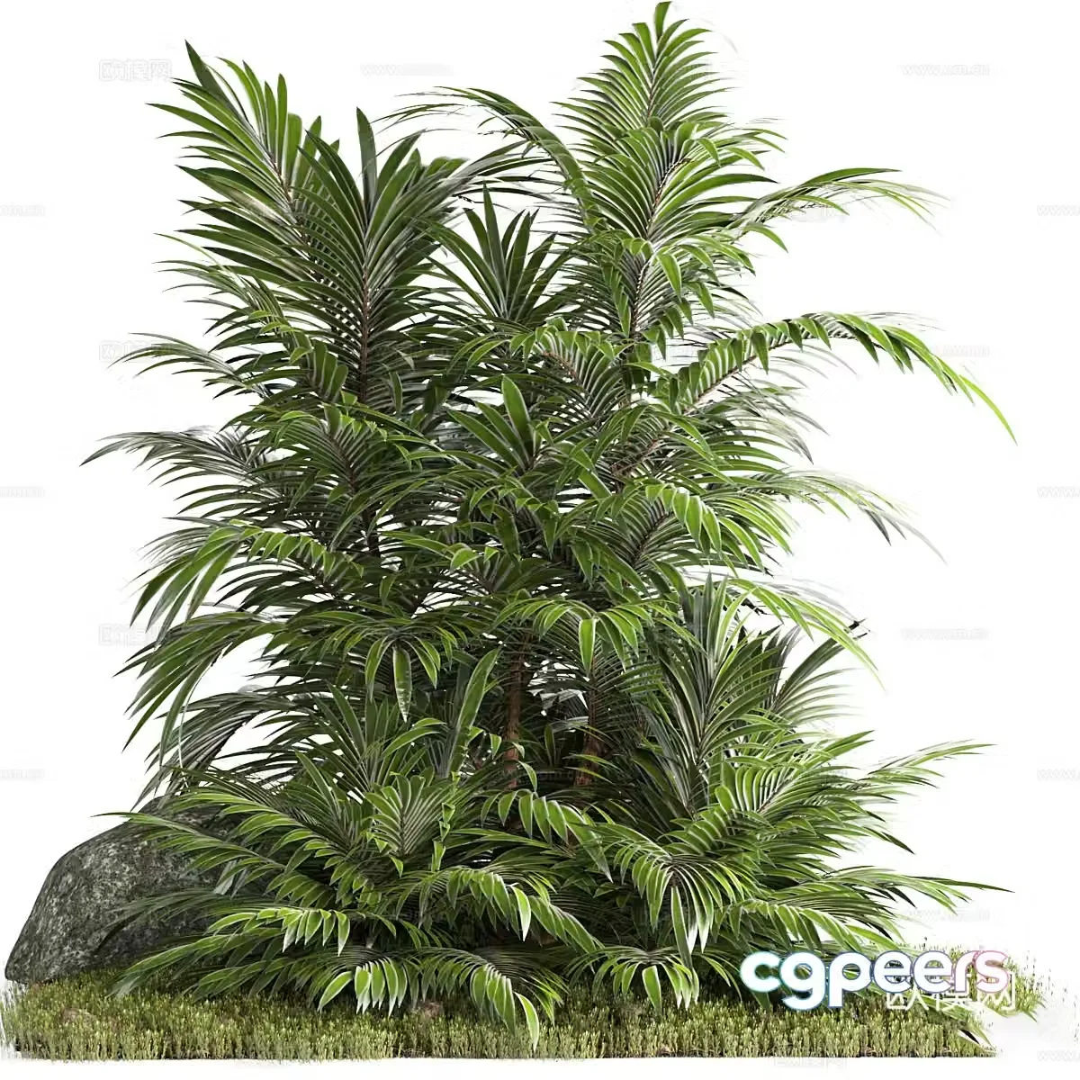 Modern garden green plants Palm tree 3d model