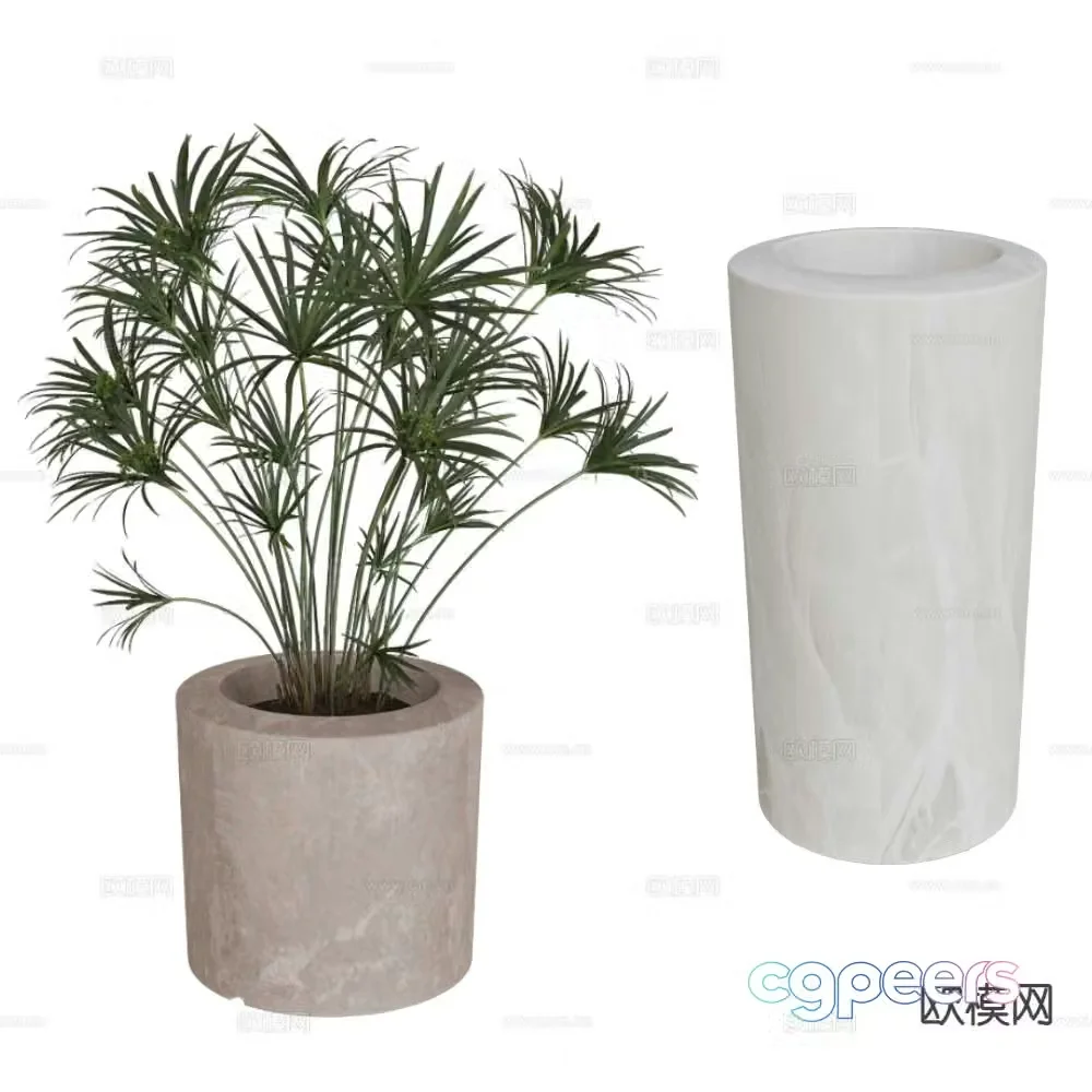 Serralunga potted bonsai 3d model