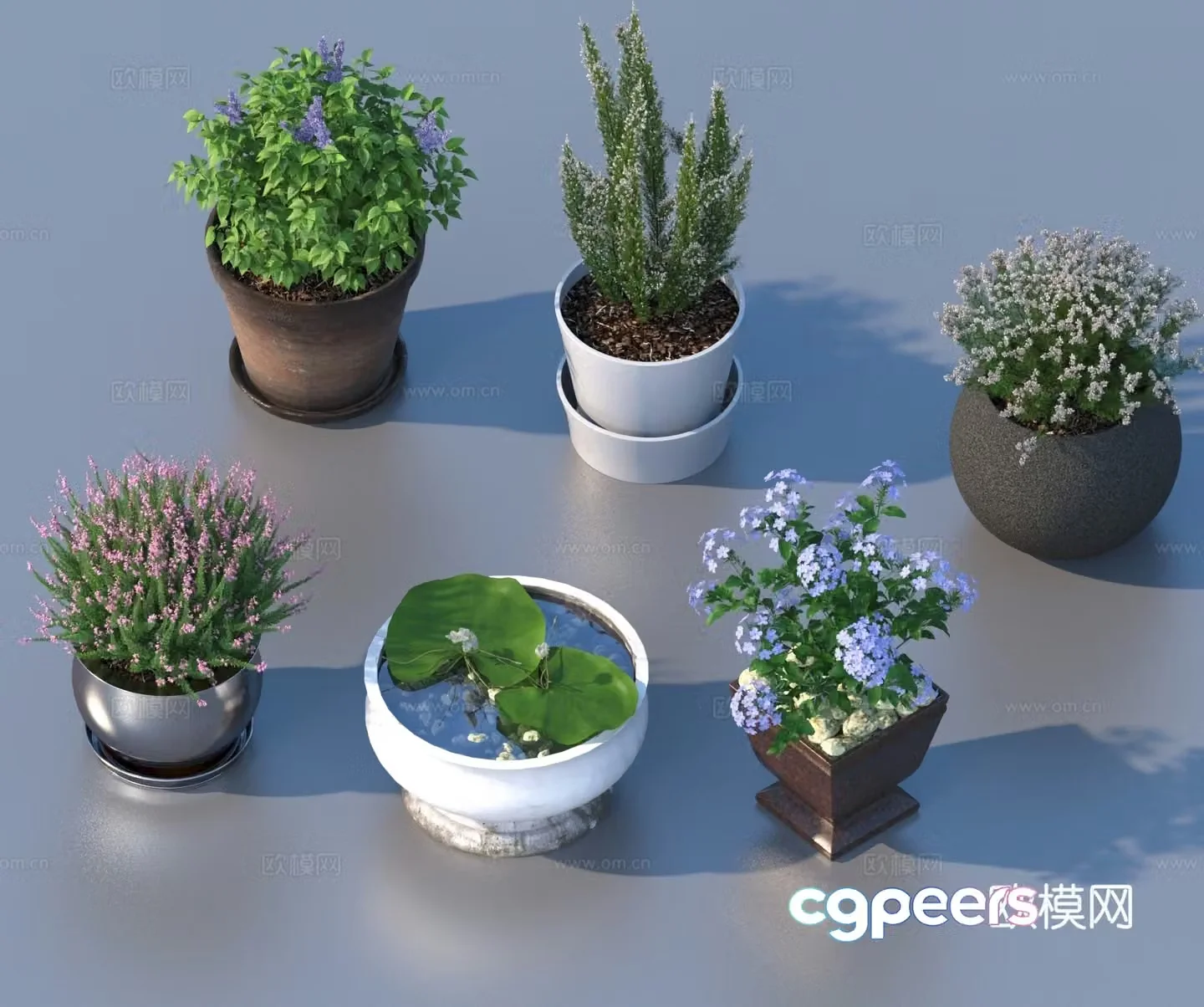 flowerpot potted plant green plant plant 3d model