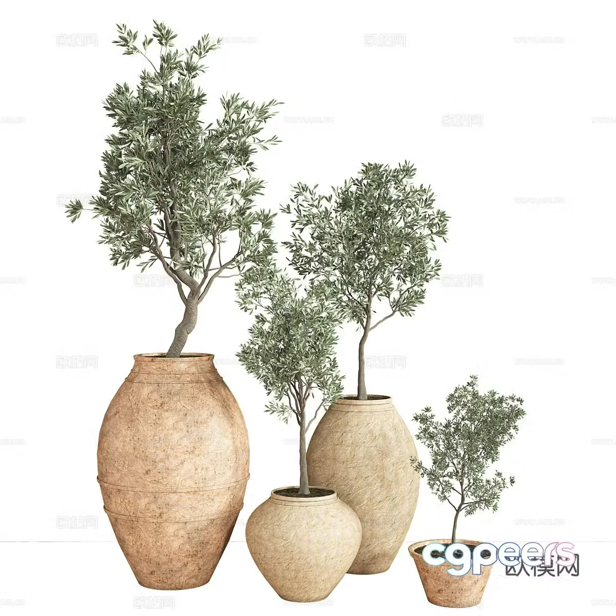 Green plant potted 3D model