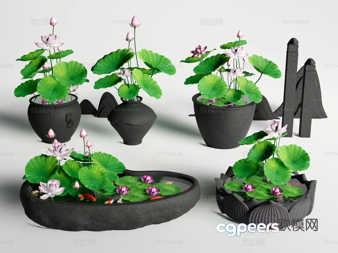Chinese fish tank ancient fish tank lotus tank aquatic plants lotus 3D model