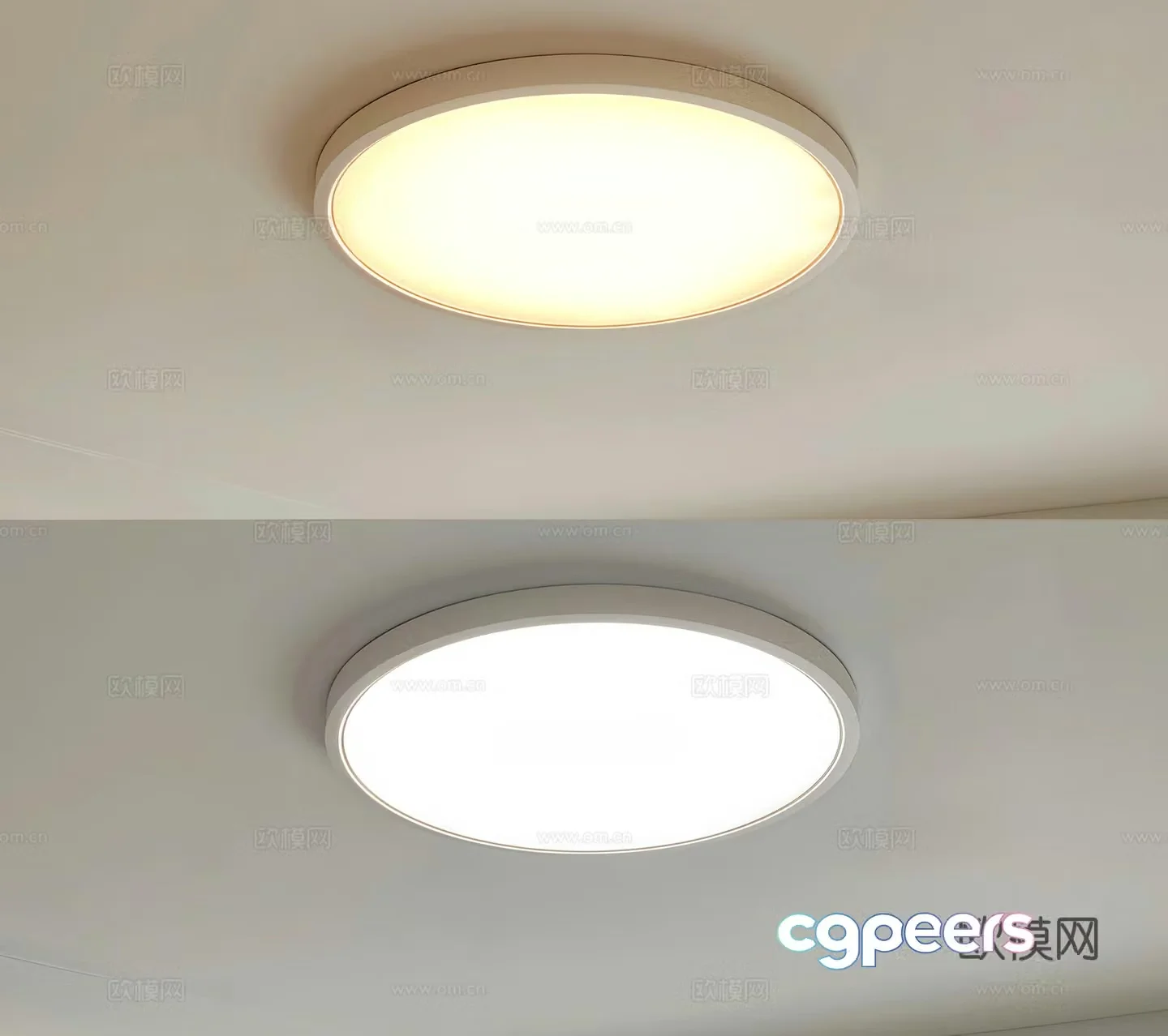 Modern ceiling light Decorative light 3d model