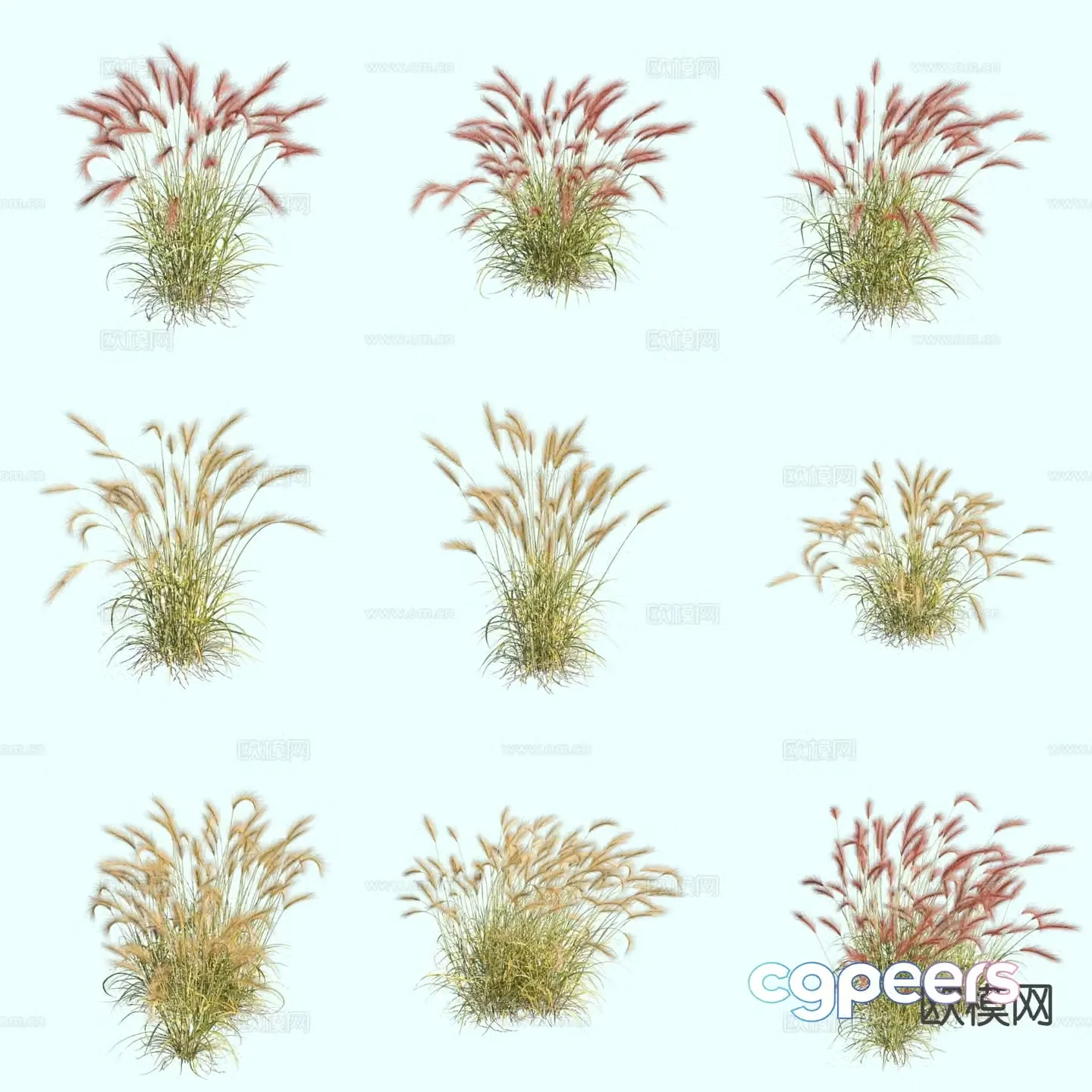 Mangying Barley Grass Ornamental Grass Thatch 3D Model