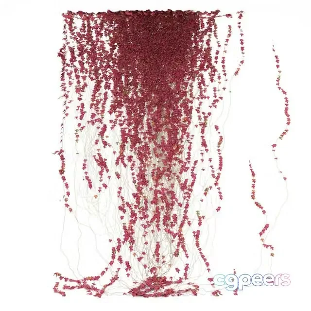 3ds Max Free – Fragment of Red Ivy