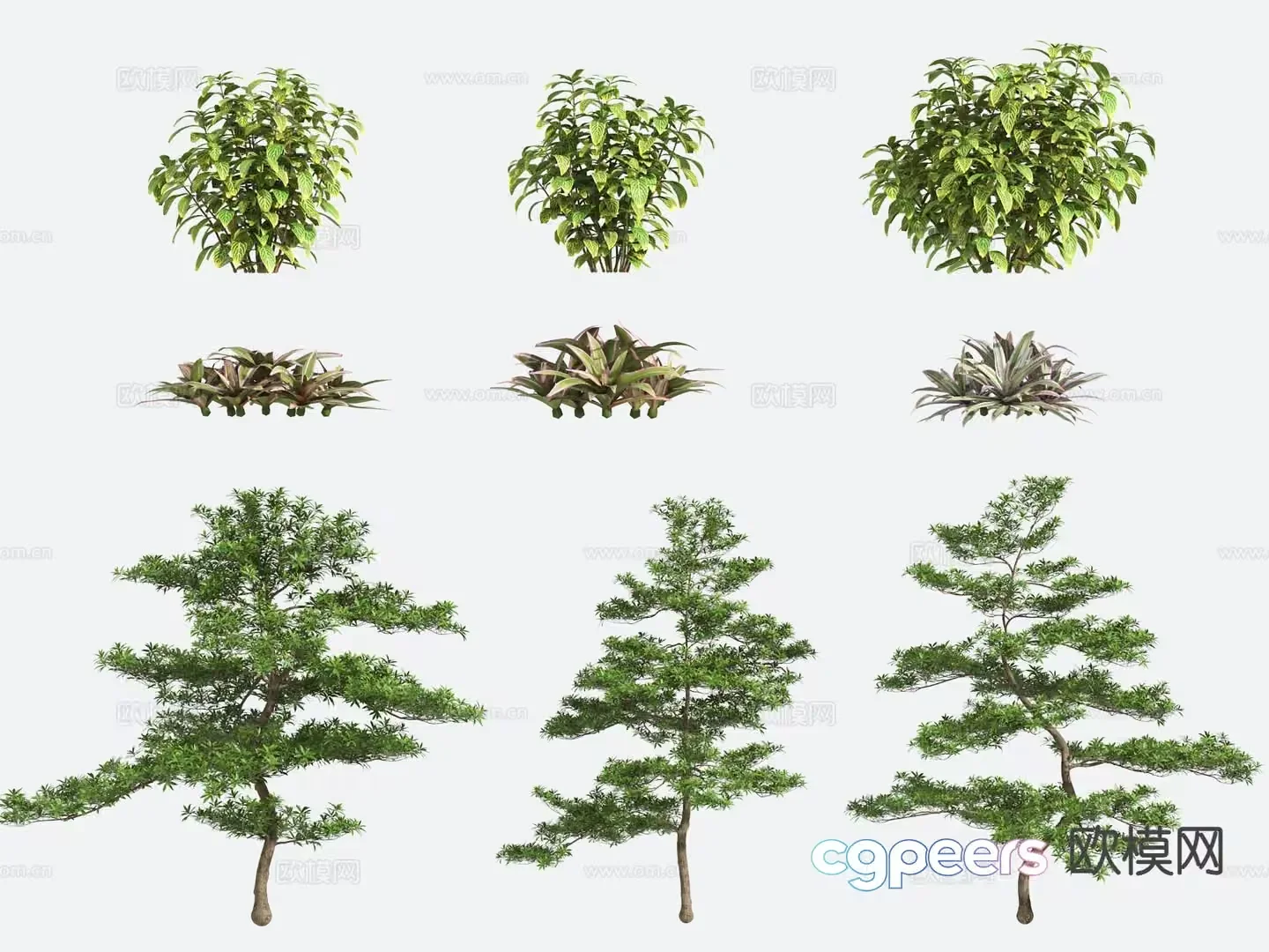 Three Trees 3D Model – 21724 – VRAY Render