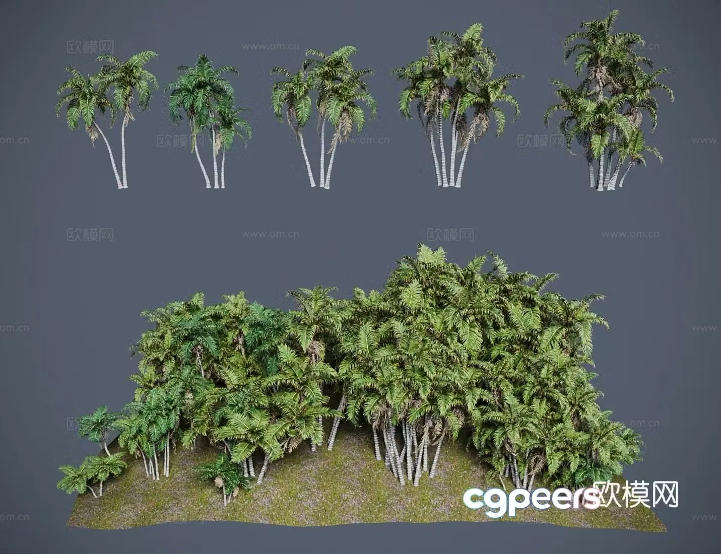 Modern landscape tree thorn brown 3d model
