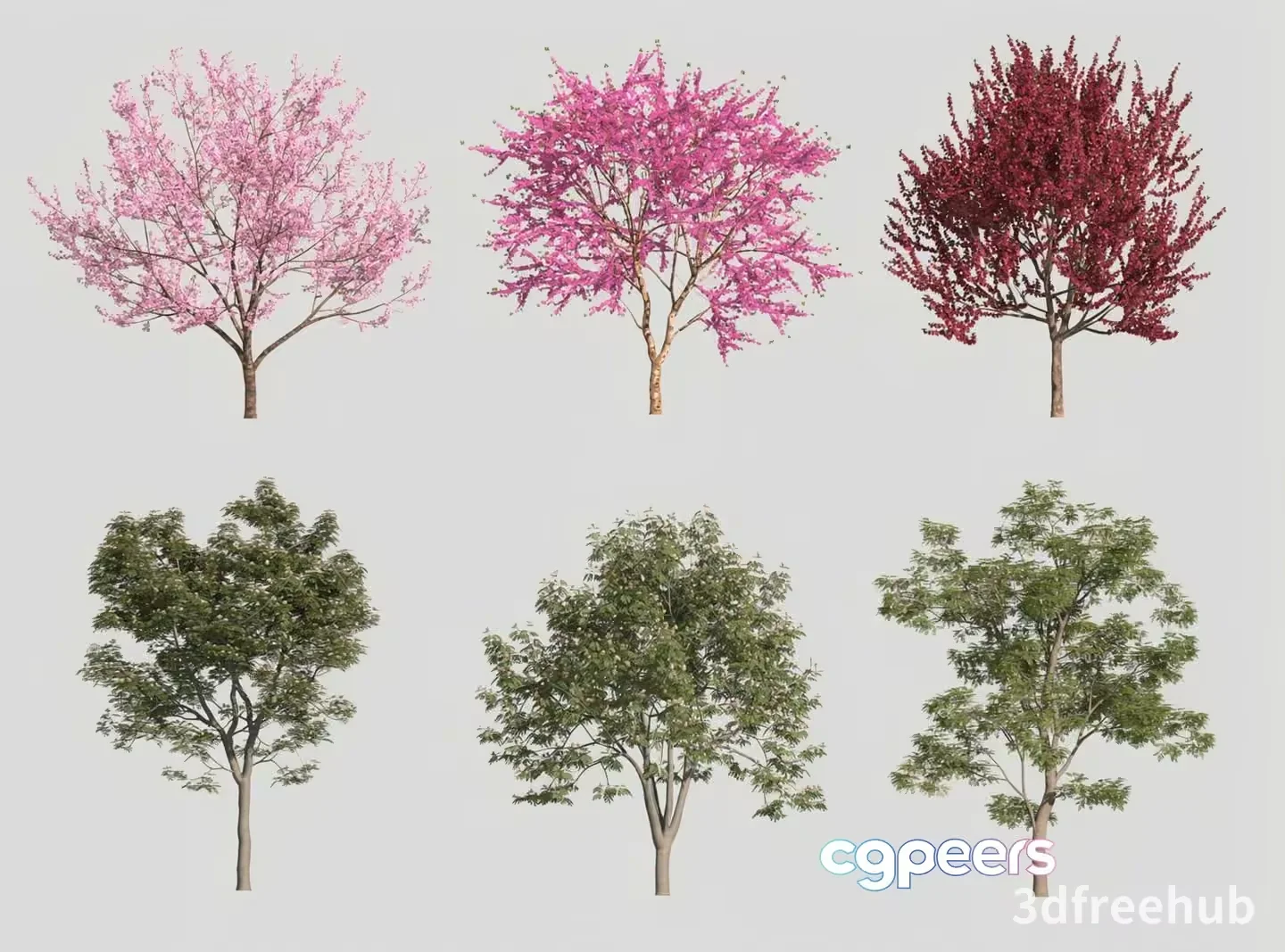 A Collection Of Trees 3D Model – 22983 – VRAY Render