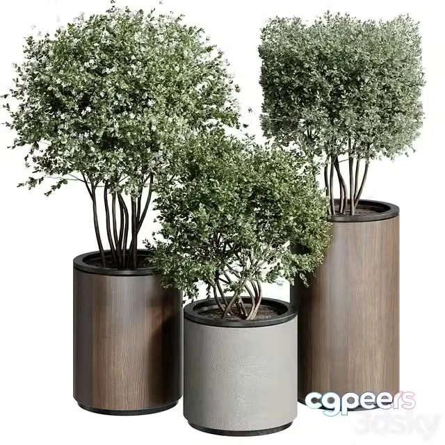 3ds Max Free – Outdoor Plant 25