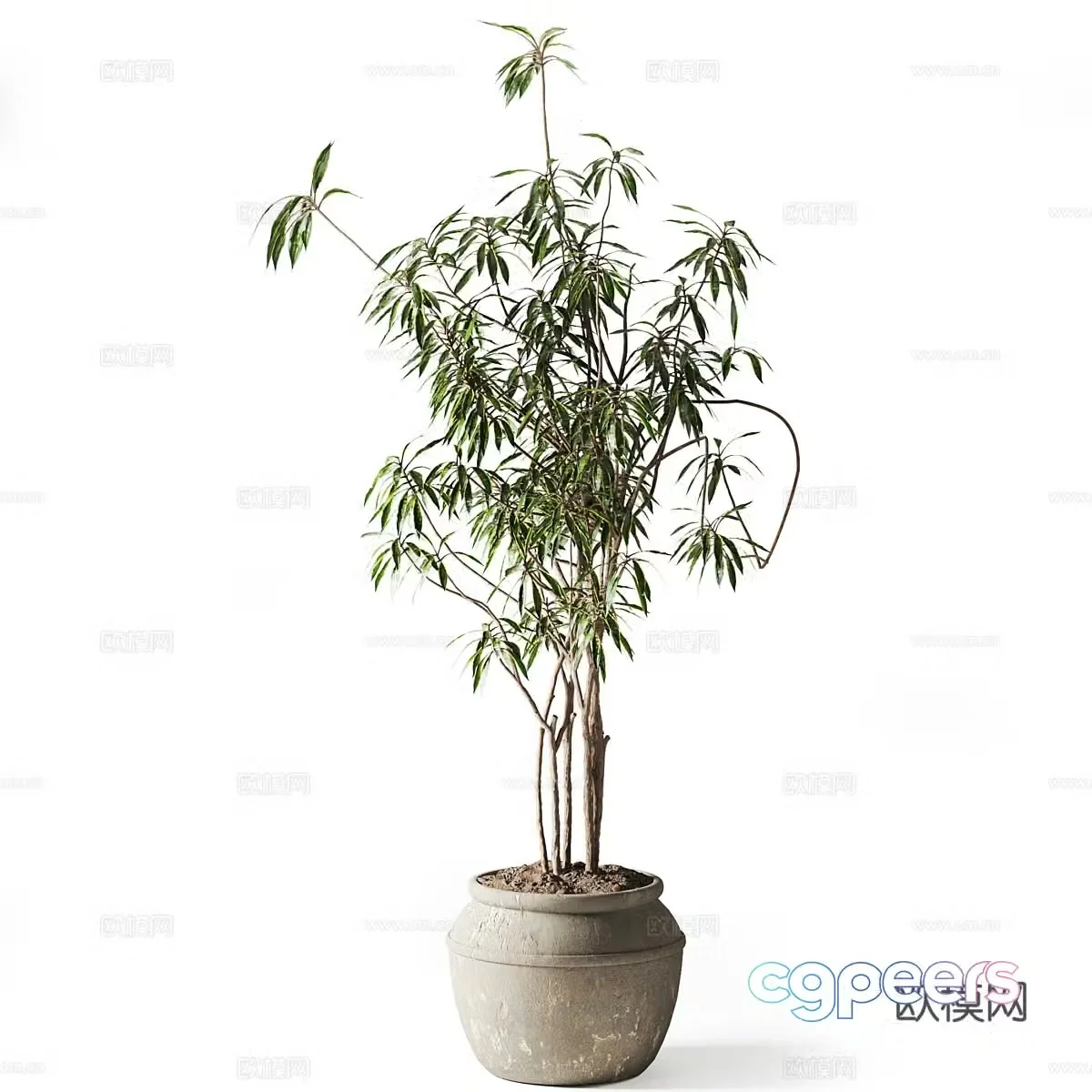 Vase flowers 3d model