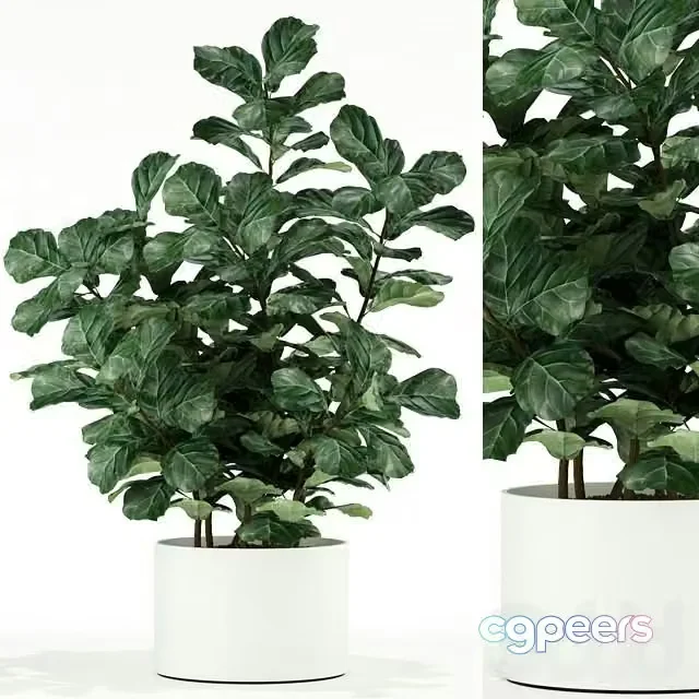 3ds Max Free – Plants collection 98