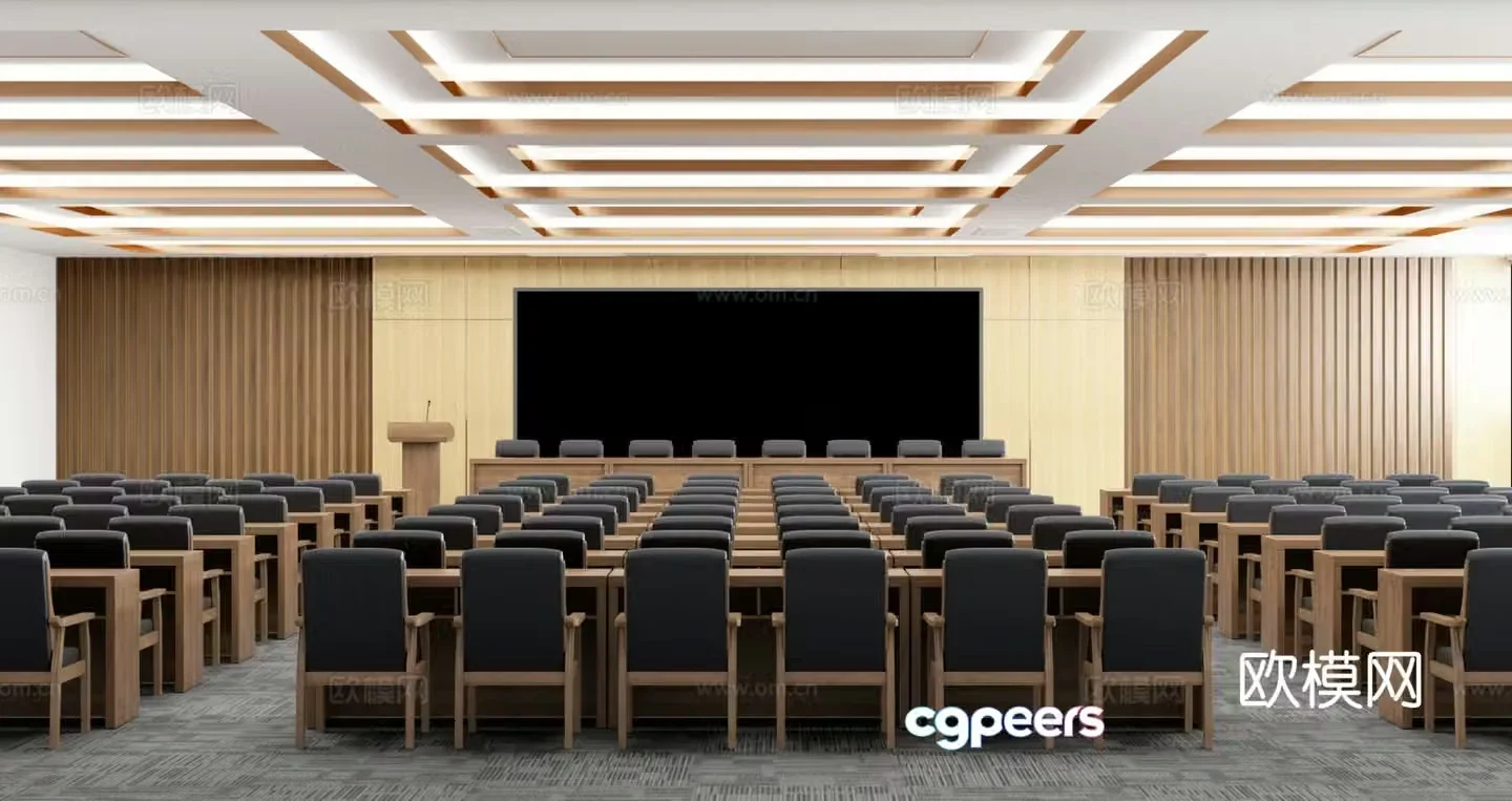 Modern multi-functional lecture hall Multi-functional conference room Large conference room Party and government organs conference room 3D model