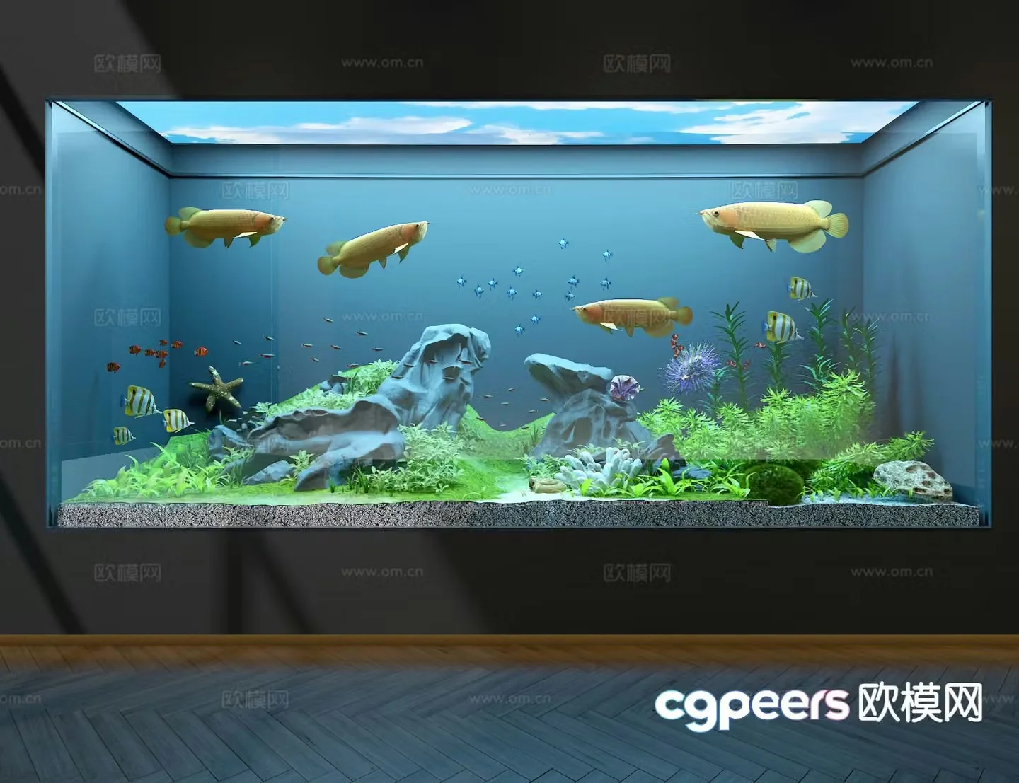 Ecological fish tank aquarium 3d model
