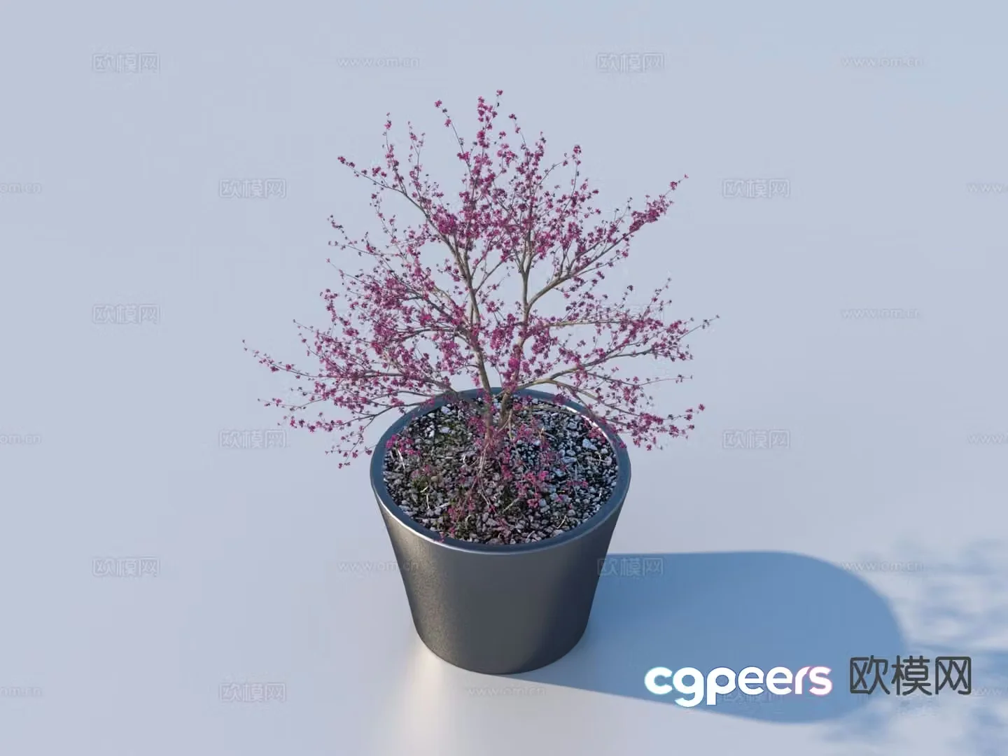 Flower pot pot green plants plant 3d model