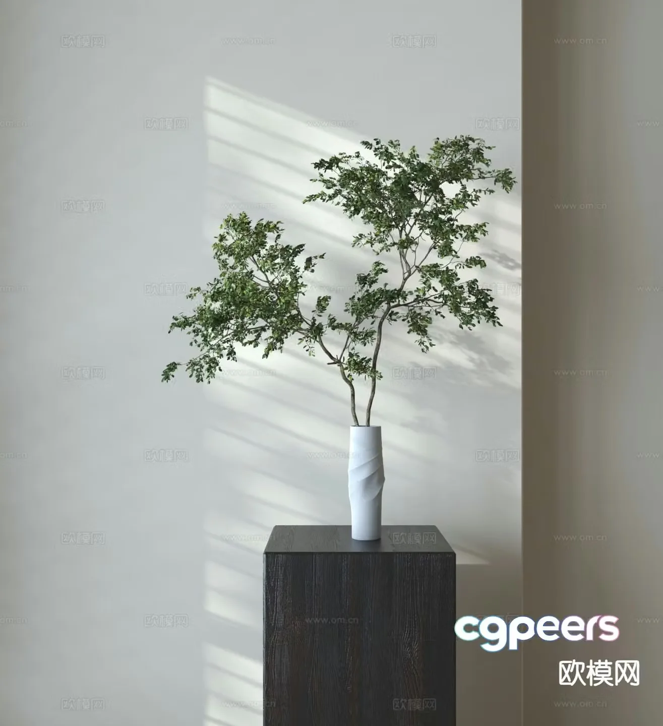Aquatic plants green plants 3d model