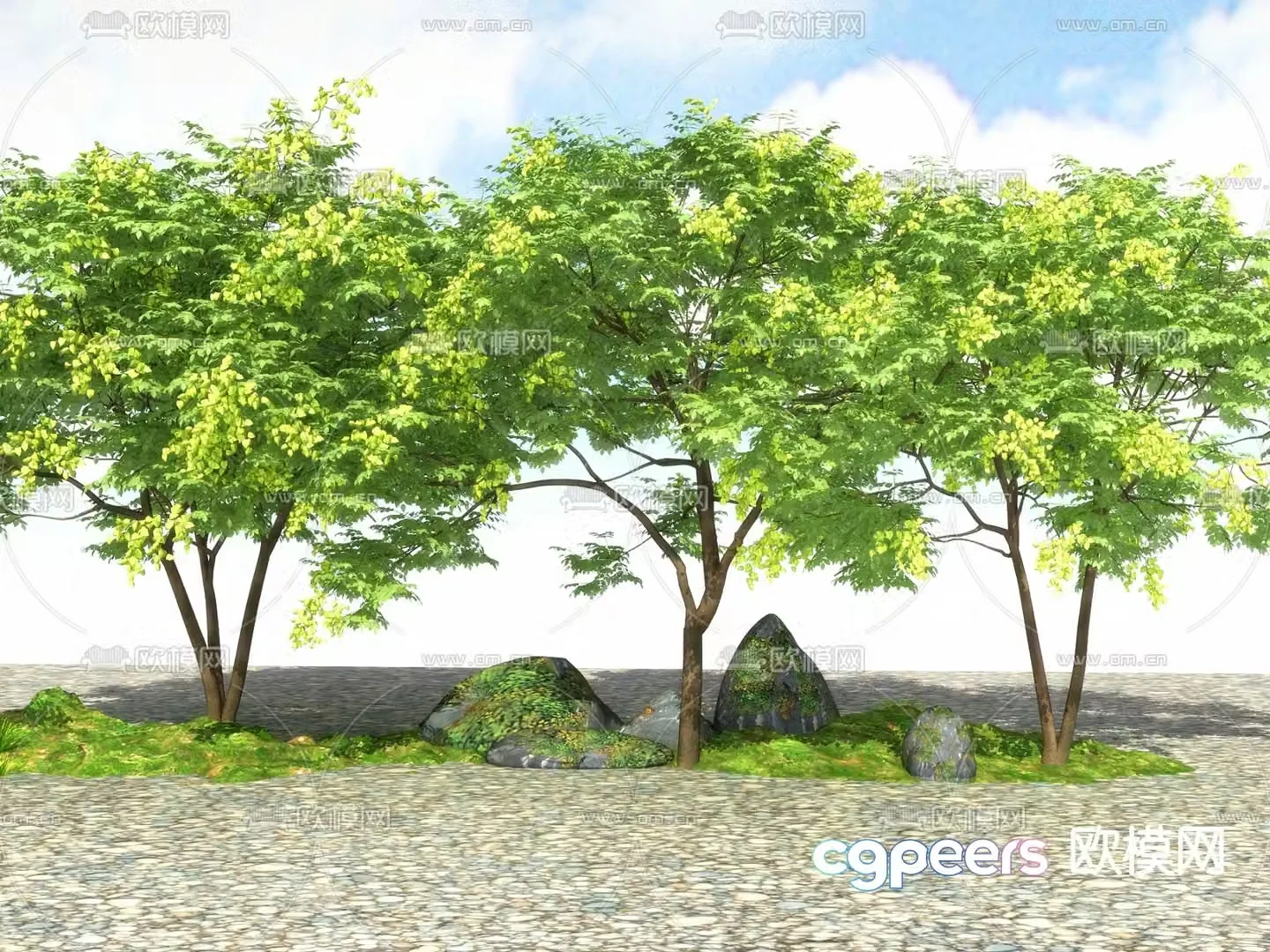 Big tree landscape tree street tree 3d model