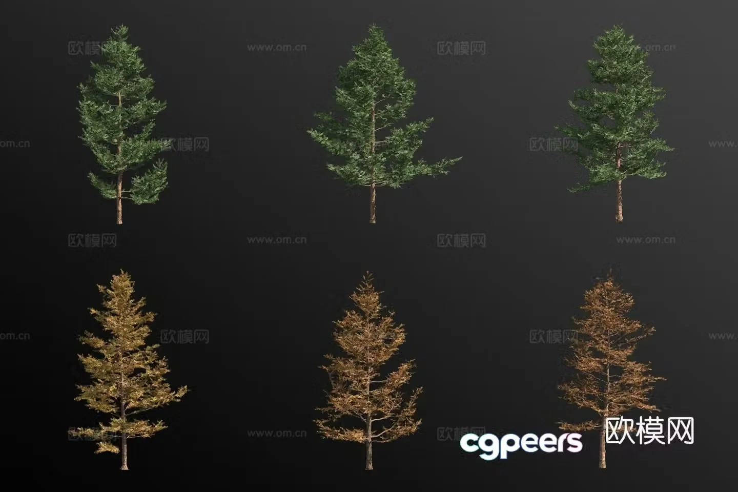 japanese larch pine tree landscape tree 3d model