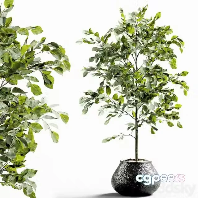 3ds Max Free – Branches in vases 28