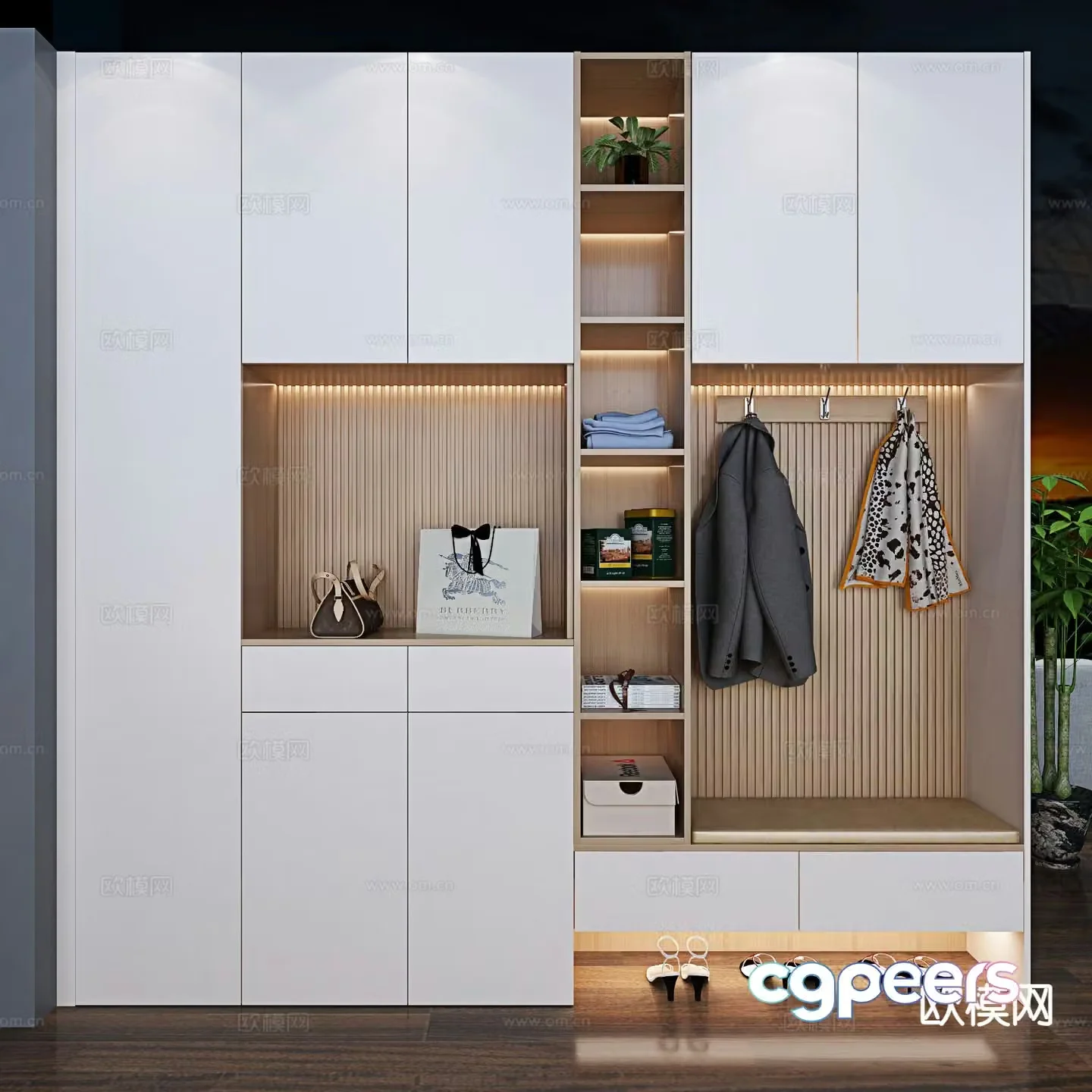 Modern entrance shoe cabinet 3d model