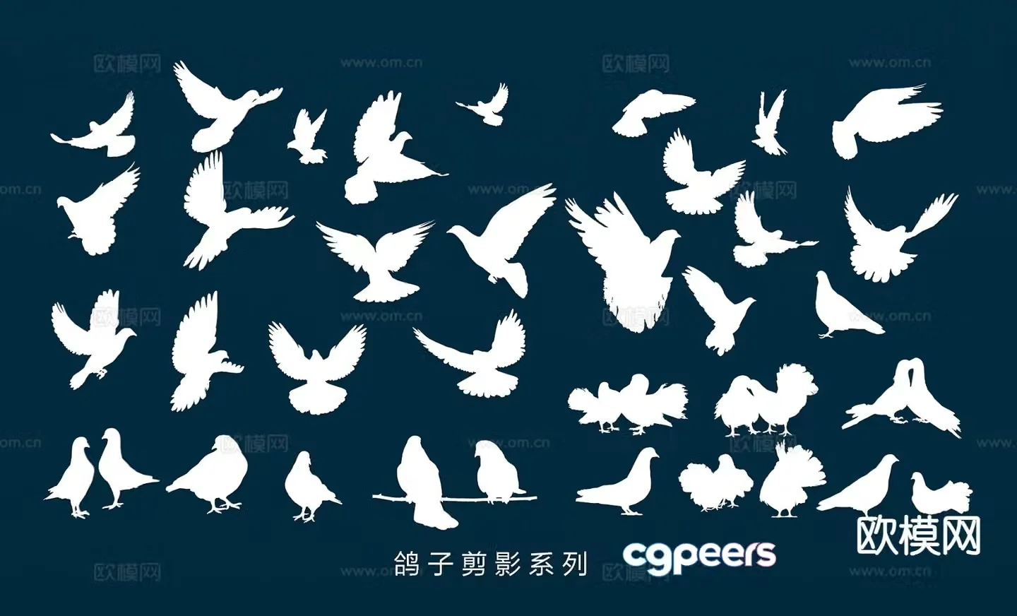Birds pigeon silhouette wall decoration wall sticker 3d model