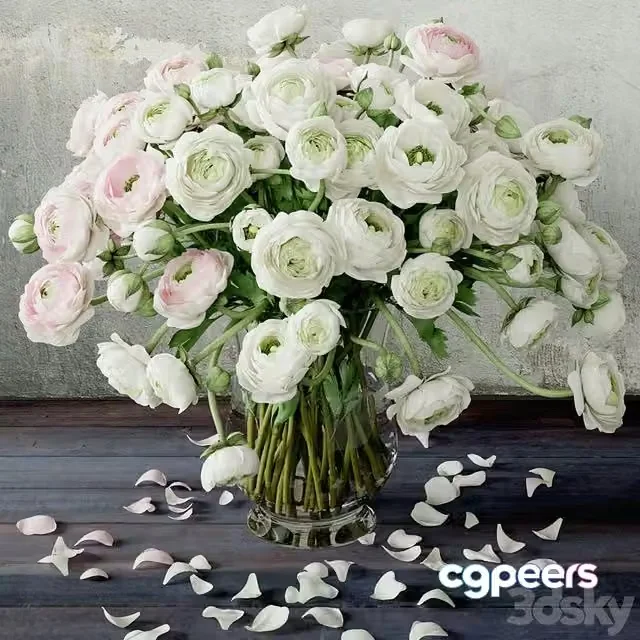 3ds Max Free – Ranunculus 2 Flower