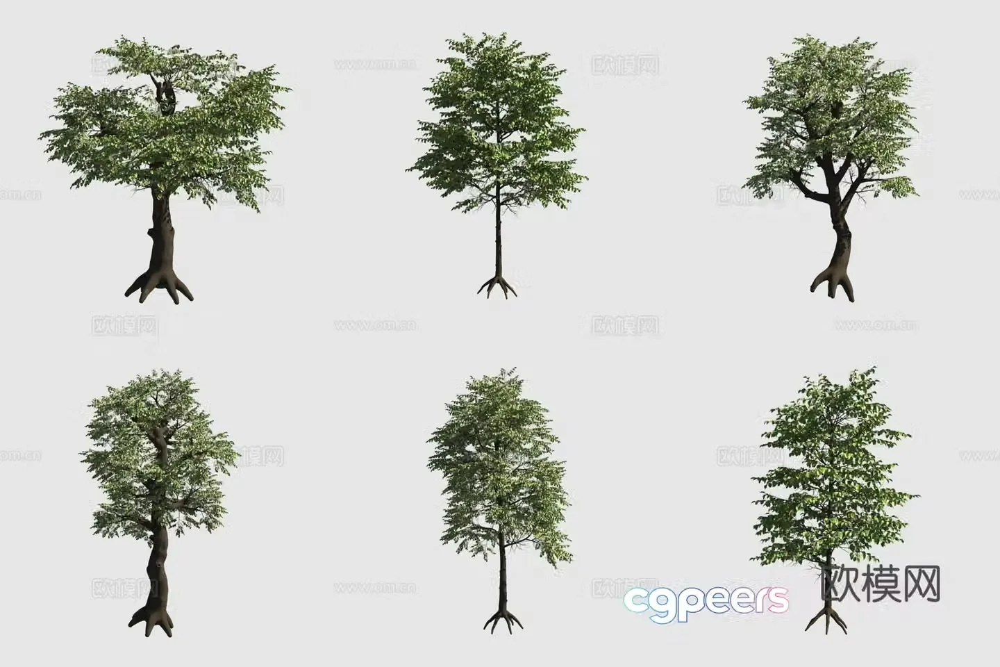 3D model of Luoshi Sala double tree street