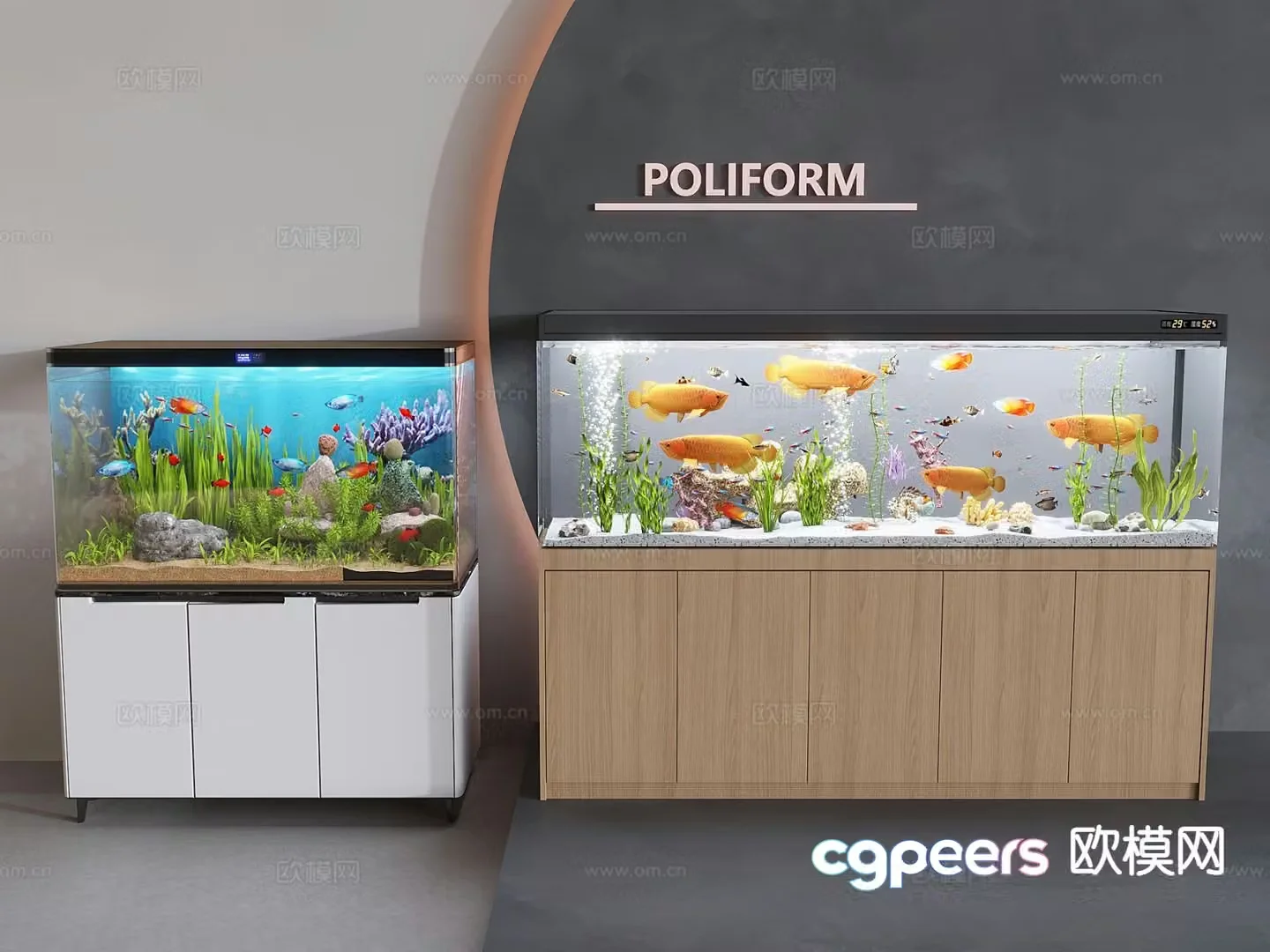 Ornamental fish tank aquarium 3d model