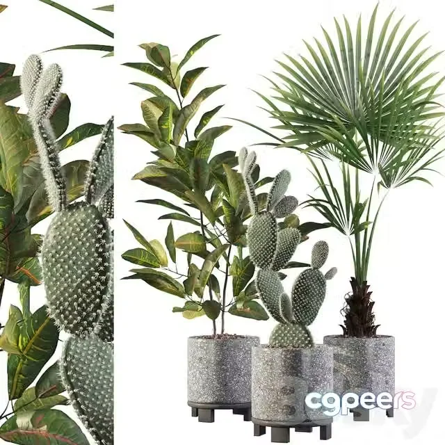 3ds Max Free – Plants collection 002
