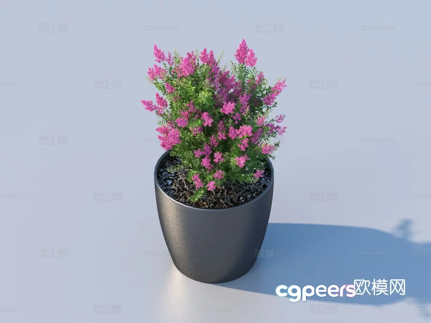 flowerpot potted plant green plant plant 3d model