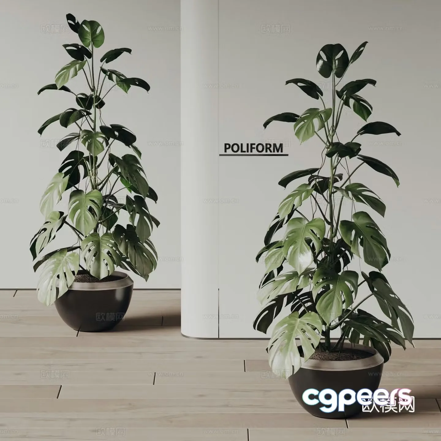 poliform green plant potted plant 3d model