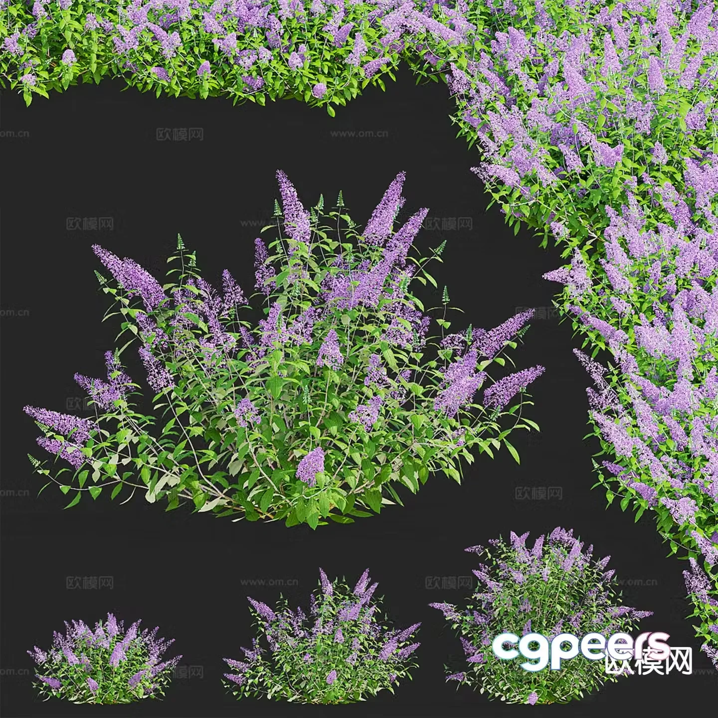 Modern Flowers and Plants 3D Model