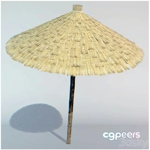 3ds Max Free – parasol made of straw