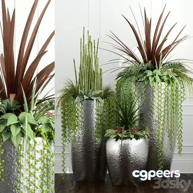 3ds Max Free – Room plants 12
