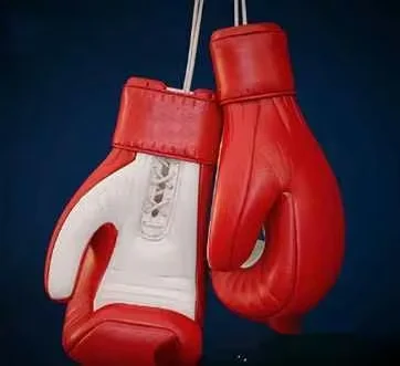 Red Boxing Gloves 3D Model – 13975 – VRAY Render