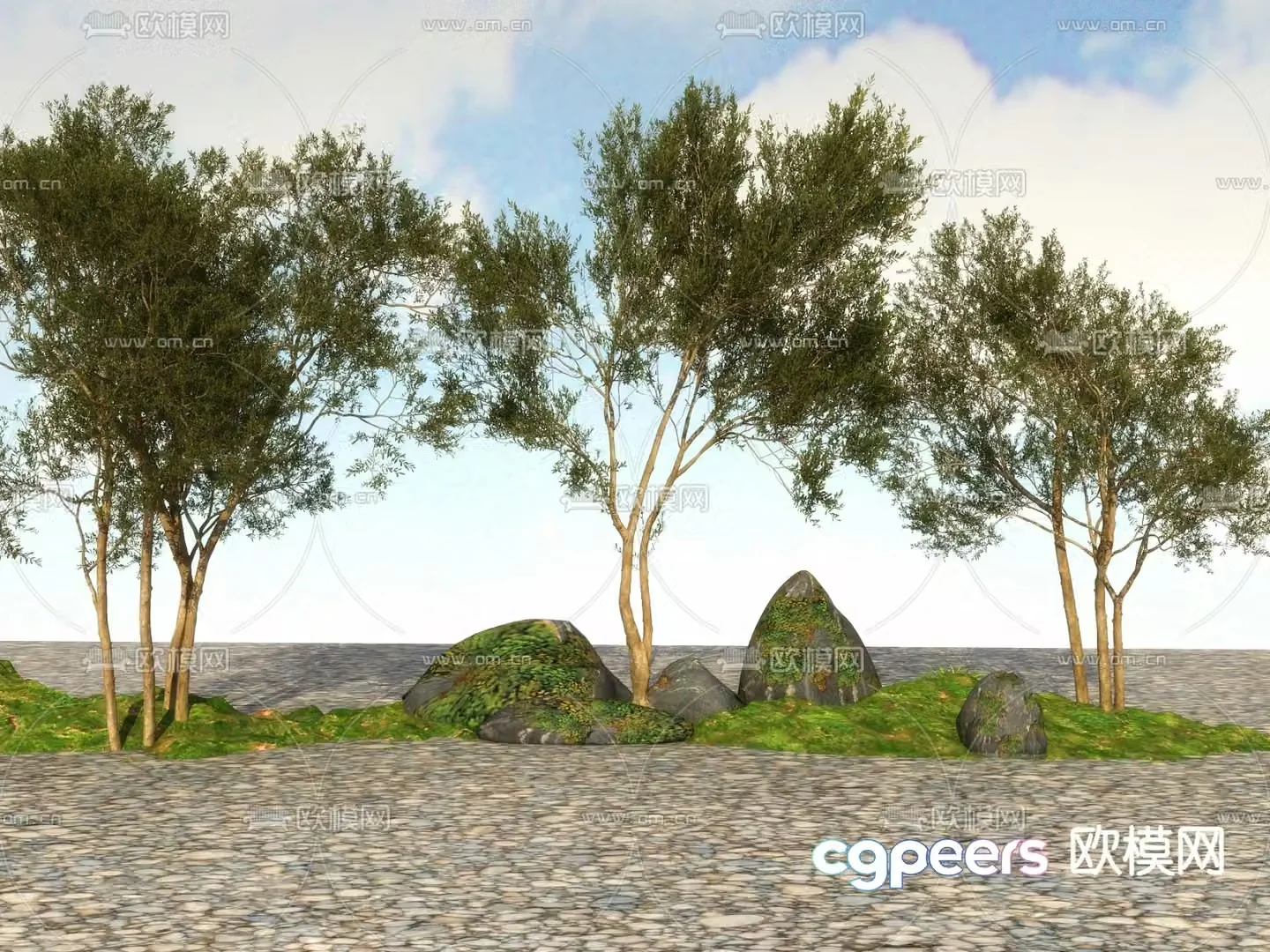 Big tree Landscape tree Street tree 3d model