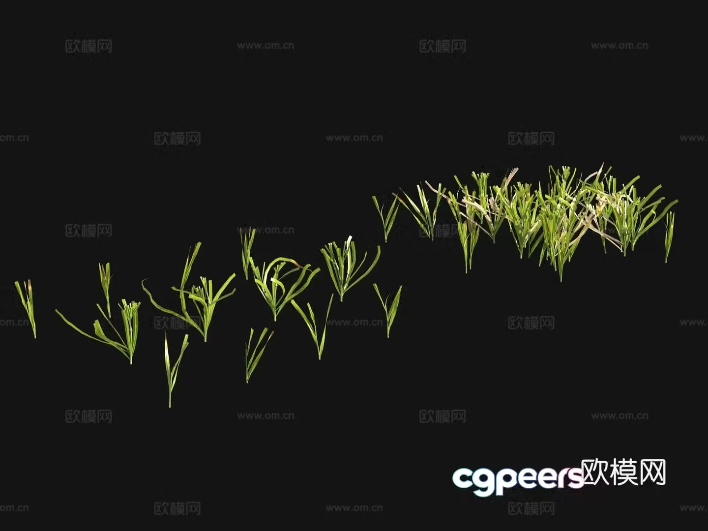 Grass seeds lawn 3d model