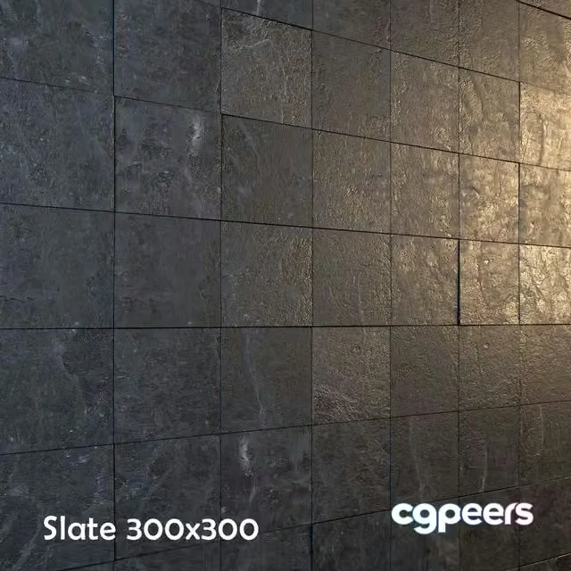 3ds Max Free – Slate_black