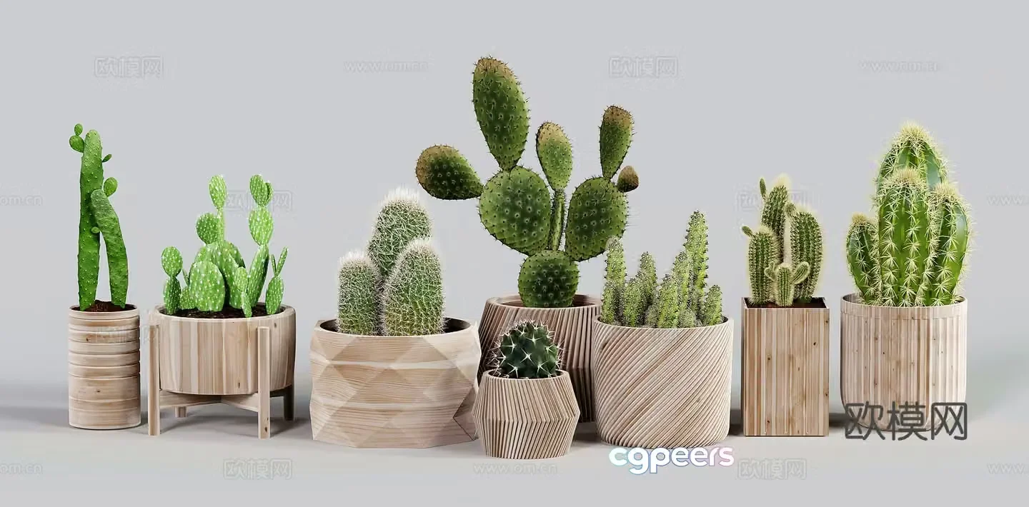 Modern potted plants cactus cactus cactus finger 3d model