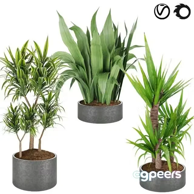 3ds Max Free – Collection plant vol 6